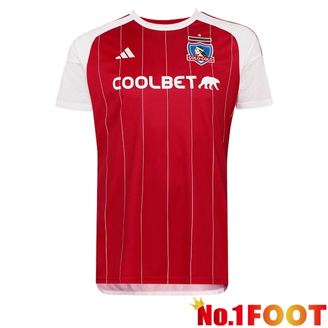 Colo-Colo Away Soccer Jersey 2024/2025