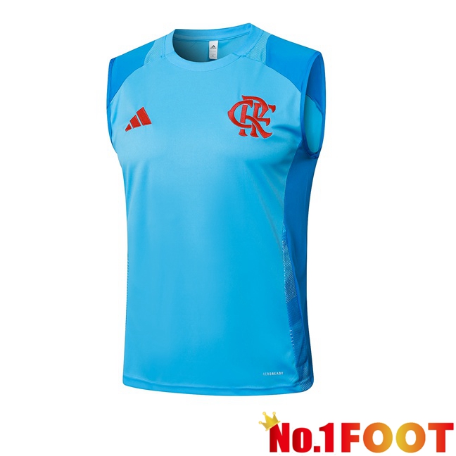 Flamengo Soccer Vest Blue 2025/2026