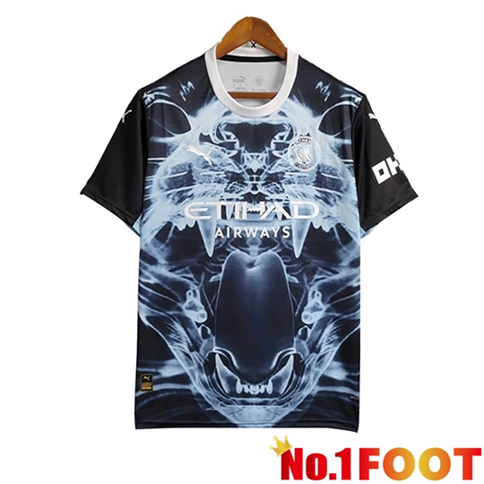 Manchester City Soccer Jersey Special Edition Light Blue 2025/2026