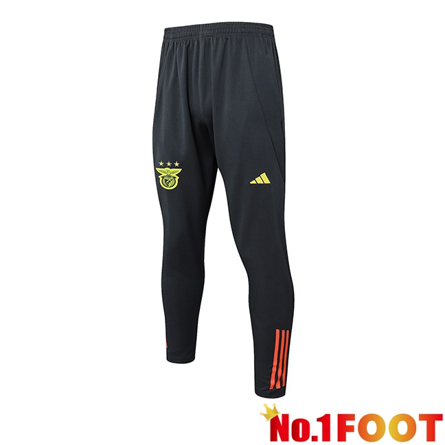 S.L Benfica Training Pants Grey 2025/2026