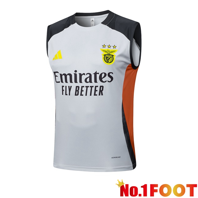 S.L Benfica Gilet Soccer Grey 2025/2026