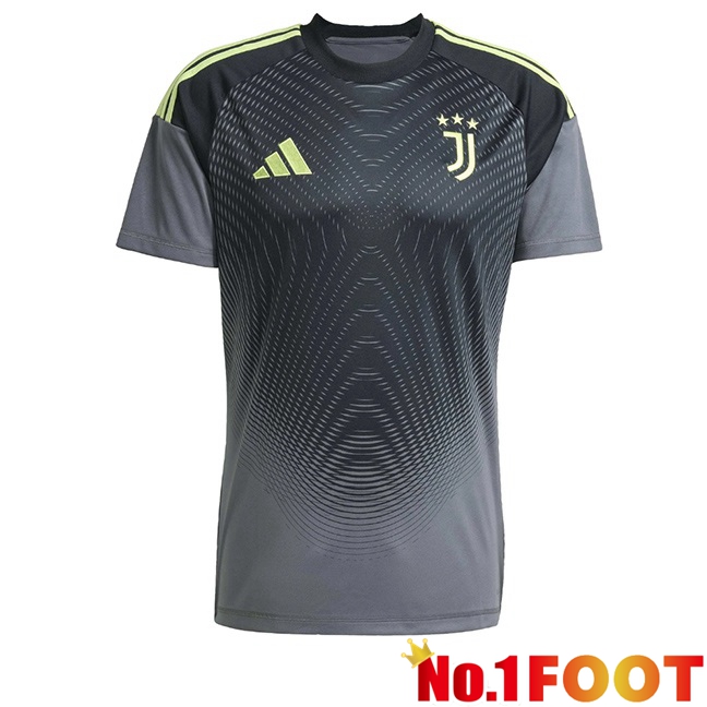 Juventus Goalkeeper Soccer Jersey Grey 2025/2026