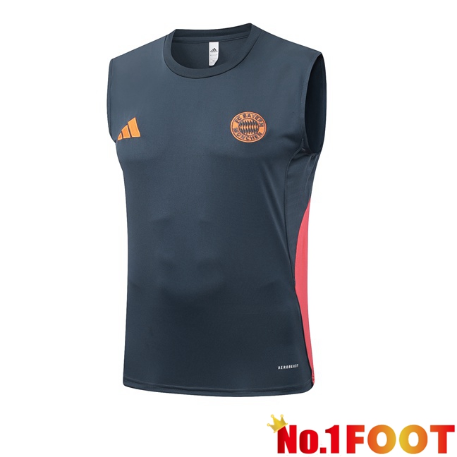 Bayern Munich Soccer Vest Grey 2025/2026