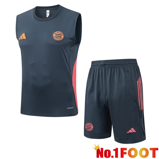 Bayern Munich Soccer Vest + Shorts Grey 2025/2026