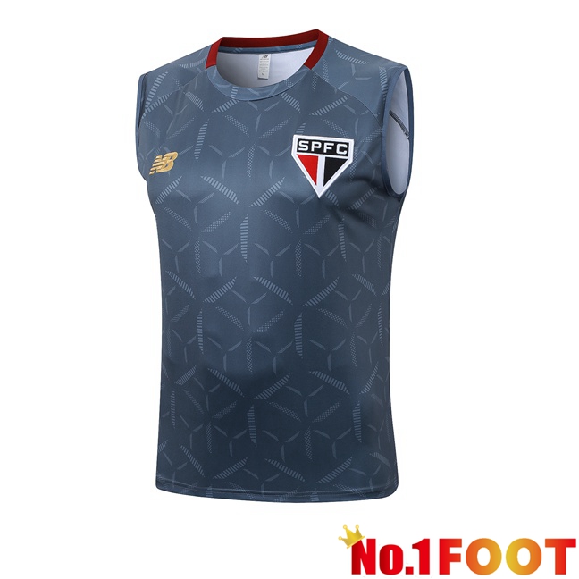 Sao Paulo FC Soccer Vest Grey 2025/2026