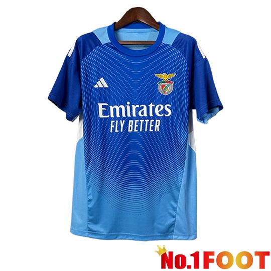 Benfica Goalkeeper Soccer Jersey Blue 2025/2026