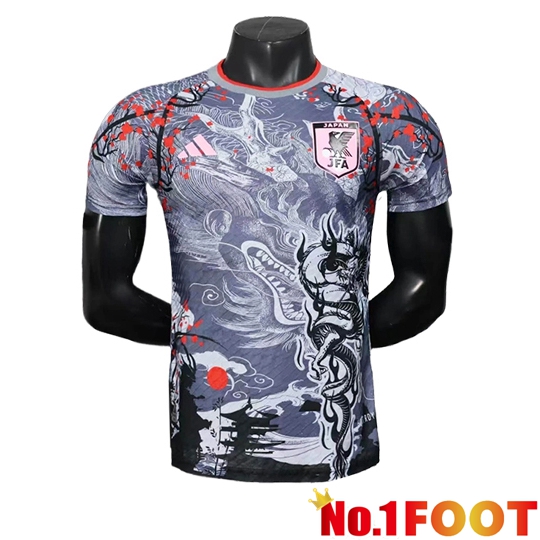 Japan Soccer Jersey Special Edition Grey 2025/2026