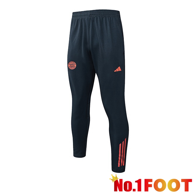 Bayern Munich Training Pants Grey 2025/2026