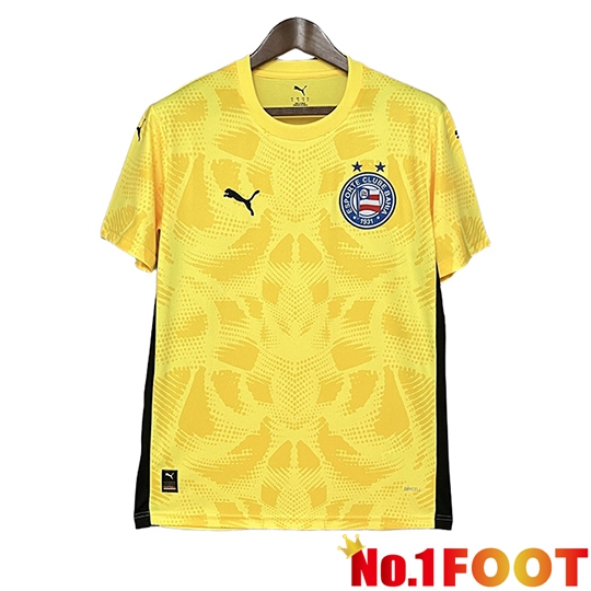 EC Bahia Goalkeeper Soccer Jersey Yellow 2025/2026