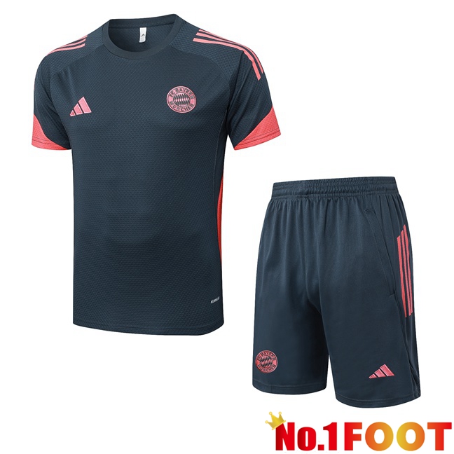 Bayern Munich kit Training T Shirt + Shorts Grey 2025/2026