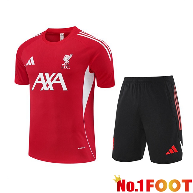 FC Liverpool kit Training T Shirt + Shorts Red 2025/2026