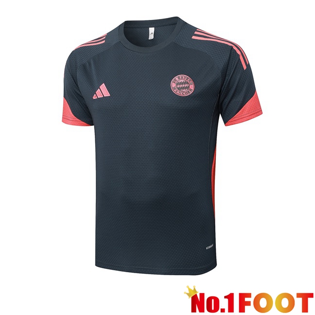 Bayern Munich Training T Shirt Grey 2025/2026