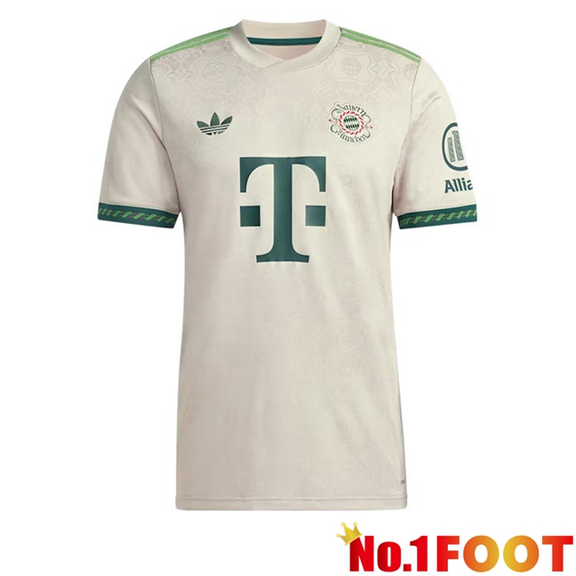 Bayern Munich Soccer Jersey Special Edition Grey 2025/2026