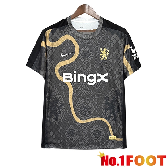 Chelsea Soccer Jersey Special Edition Grey 2025/2026