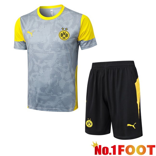 Dortmund BVB kit Training T Shirt + Shorts Grey 2025/2026