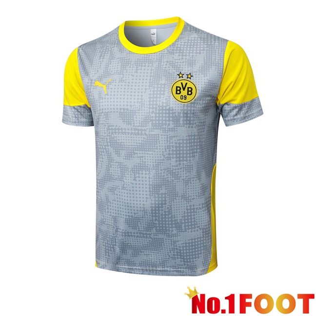 Dortmund BVB Training T Shirt Grey 2025/2026