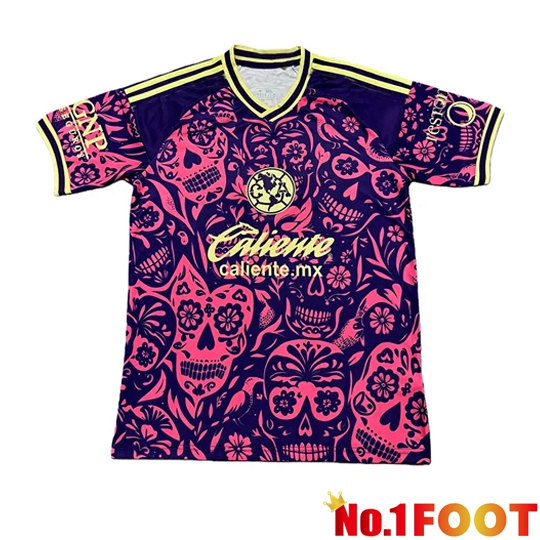 Club America Soccer Jersey Special Edition Grey 2025/2026
