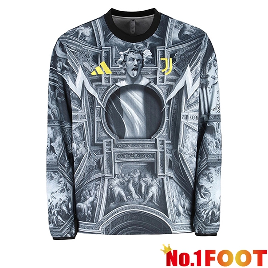 Juventus Long sleeve Jersey Special Edition Grey 2025/2026