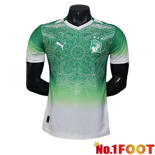 Ivory Coast Soccer Jersey Special Edition Green 2026/2027