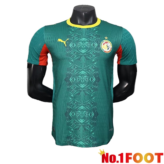 Senegal Away Soccer Jersey 2026/2027