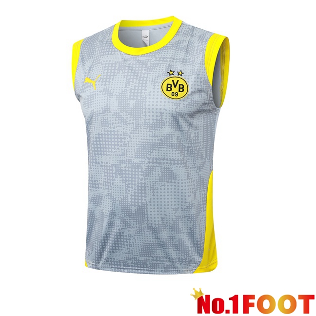 Dortmund BVB Gilet Soccer Grey 2025/2026