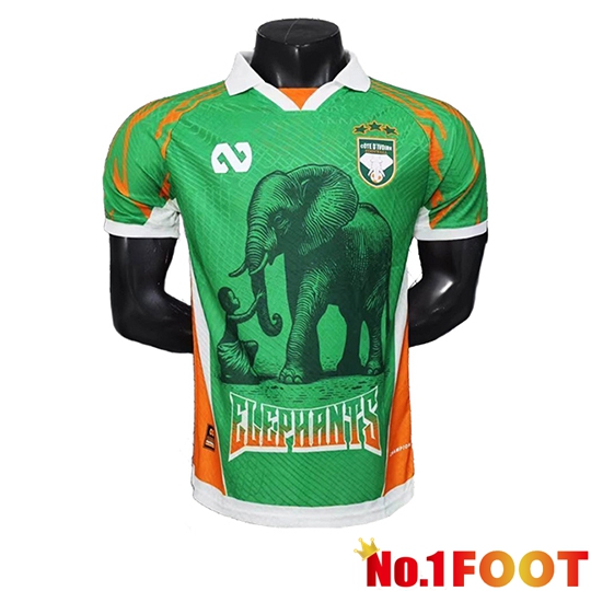 Ivory Coast Soccer Jersey Special Edition Green 2025/2026