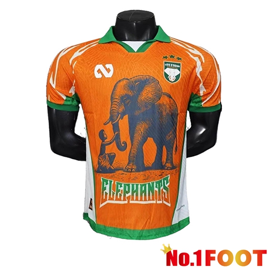 Ivory Coast Soccer Jersey Special Edition Orange 2025/2026