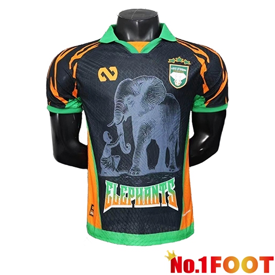 Ivory Coast Soccer Jersey Special Edition Black 2025/2026