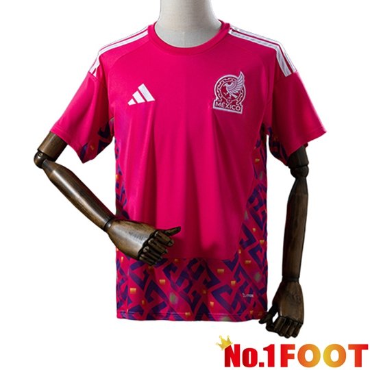 Mexico Goalkeeper Soccer Jersey Pink 2026/2027