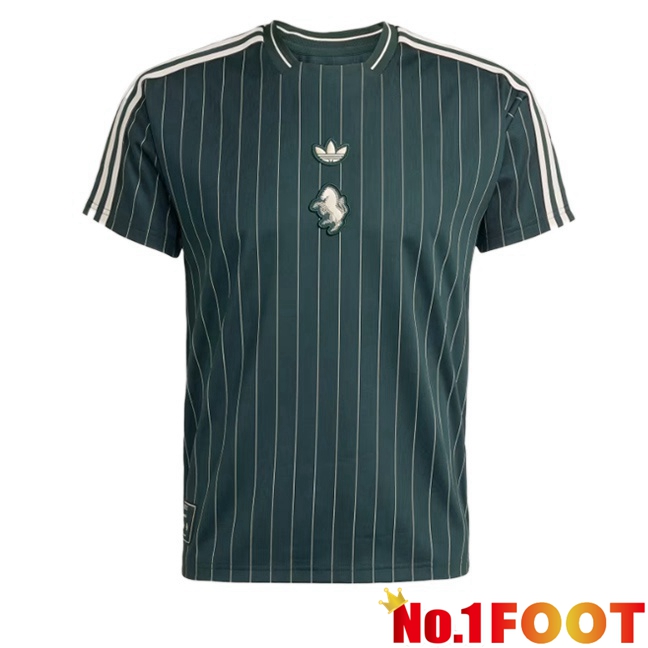 Juventus Soccer Jersey Special Edition Green 2025/2026