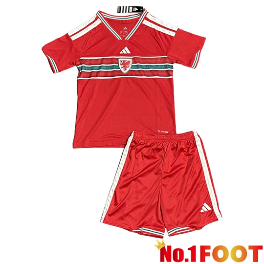 Wales Kids Home Soccer Jersey 2026/2027