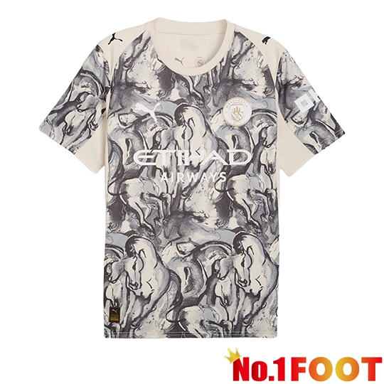 Manchester City Soccer Jersey Special Edition Grey 2025/2026