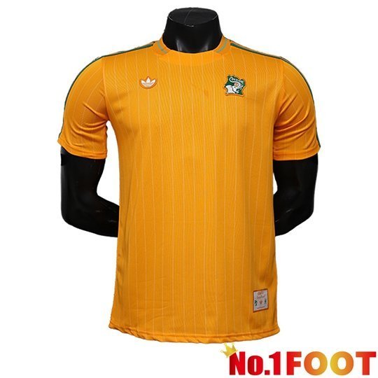 Ivory Coast Soccer Jersey Special Edition Orange 2026/2027