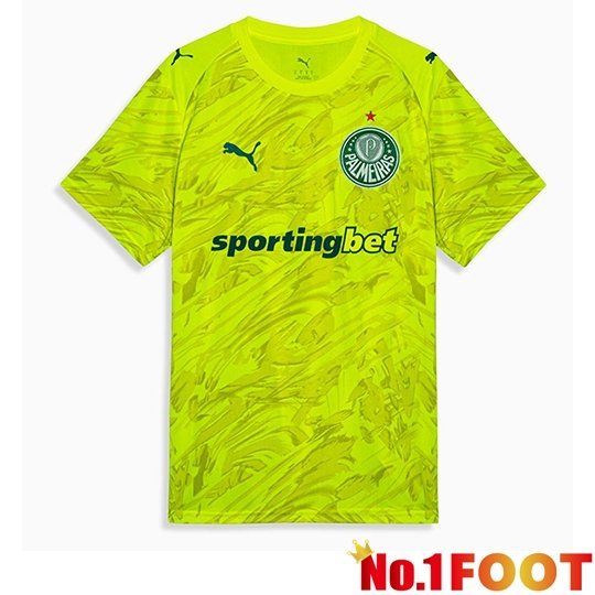 Palmeiras Goalkeeper Soccer Jersey Green 2026/2027