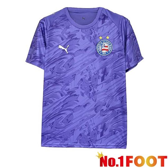 EC Bahia Goalkeeper Soccer Jersey Purple 2026/2027