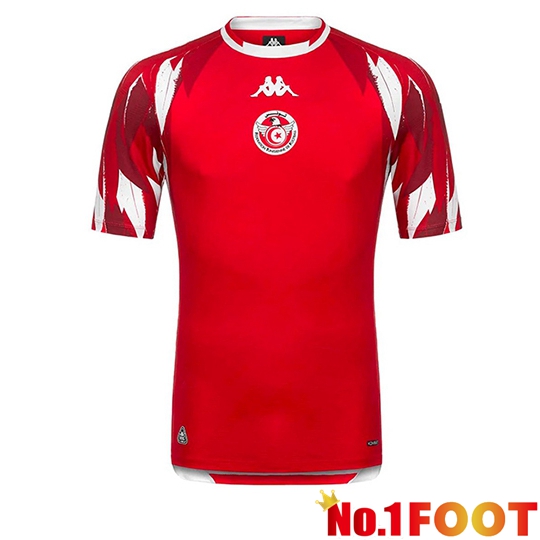 Tunisia Away Soccer Jersey Soccer World Cup 2026