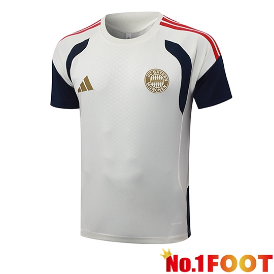 Bayern Munich Training T-Shirt Beige/Blue/Red 2026/2027
