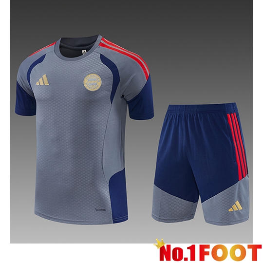Bayern Munich Kids kit Training T-Shirt Grey/Blue/Red 2026/2027