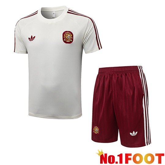 Spain kit Training T-Shirt Beige/Red 2026/2027
