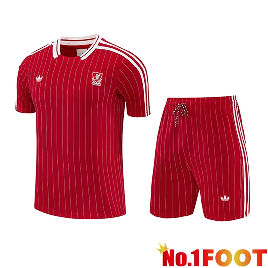 FC Liverpool kit Training T-Shirt Red/White 2026/2027