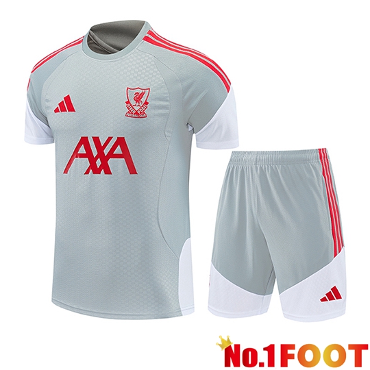 FC Liverpool kit Training T-Shirt Grey/Red/White 2026/2027
