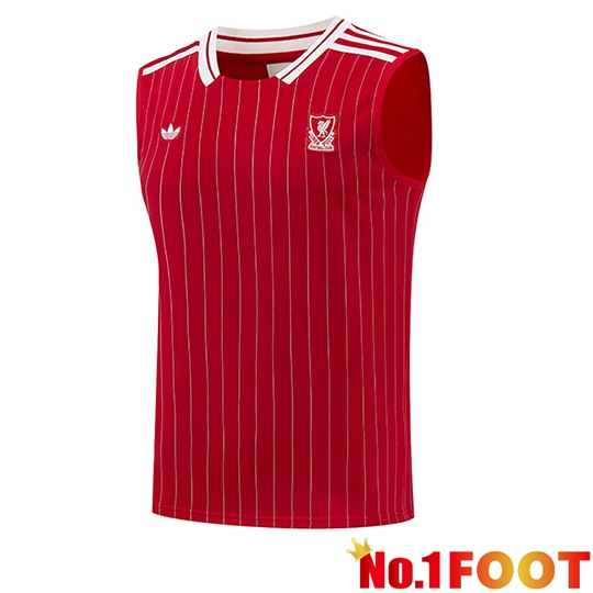 FC Liverpool Soccer Vests Red/White 2026/2027