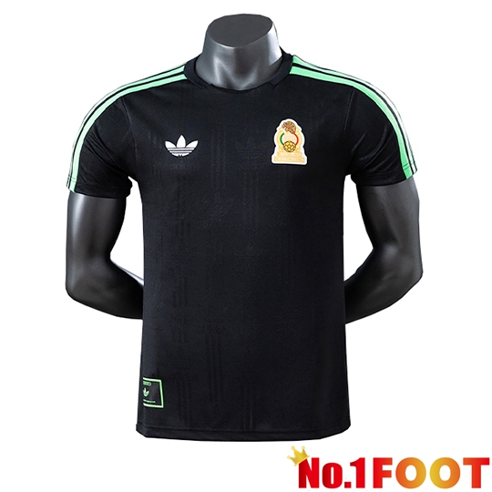 Mexico Training T-Shirt Black/Green 2026/2027