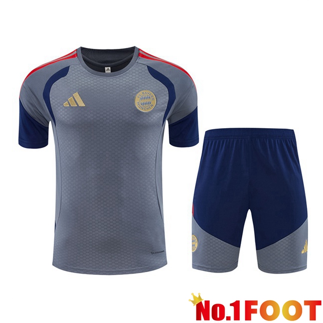 Bayern Munich kit Training T Shirt + Shorts Grey 2026/2027