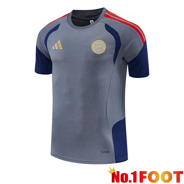 Bayern Munich Training T Shirt Grey 2026/2027