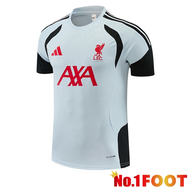 FC Liverpool Training T Shirt Grey 2026/2027