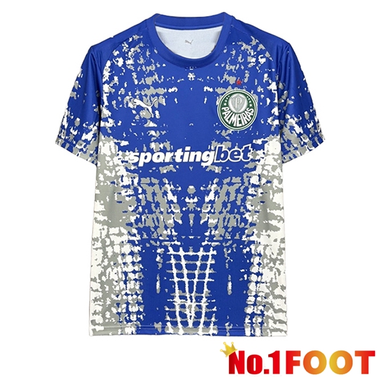 Palmeiras Goalkeeper Soccer Jersey Blue 2026/2027