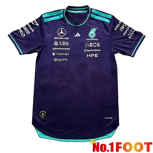 Mercedes Benz T-Shirt F1 Team Purple/Green 2026