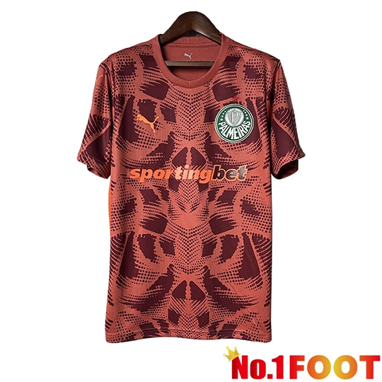 Palmeiras Goalkeeper Soccer Jersey Red 2025/2026