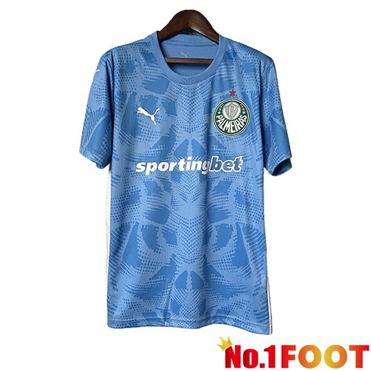 Palmeiras Goalkeeper Soccer Jersey Blue 2025/2026